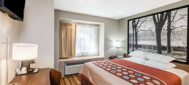 斯克内克塔迪-奥尔巴尼地区温德姆速8酒店(Super 8 by Wyndham Schenectady/Albany Area)图片