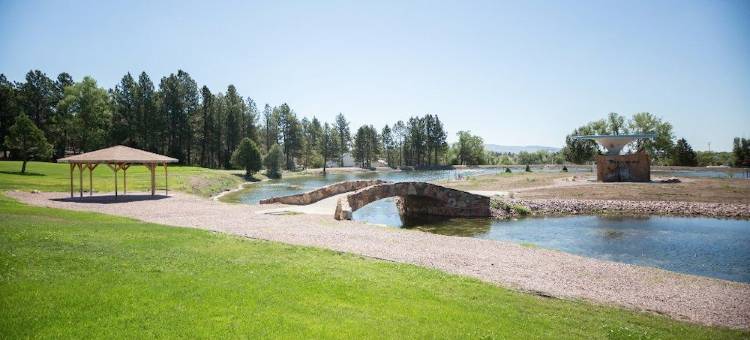 Super 8 by Wyndham Newcastle图片