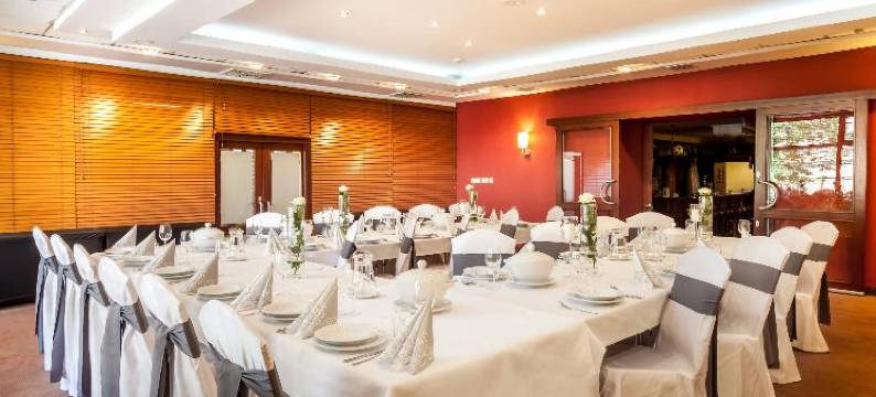 莱格尼察-库布斯酒店(Qubus Hotel Legnica)图片