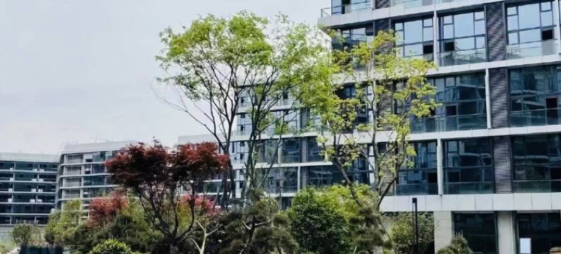 我想打篮球公寓(屏新路1号分店)图片