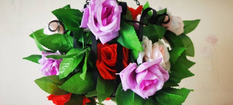 忆涵主题家庭公寓(火星街分店)图片