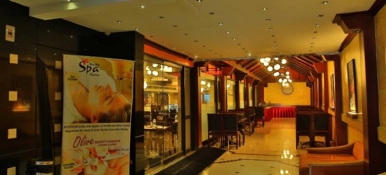 萨斯大厦酒店(Saas Tower)图片