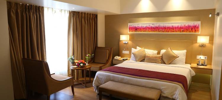 艾哈迈达巴德萨诺瓦波蒂科酒店(Rivera Sarovar Portico Ahmedabad)图片