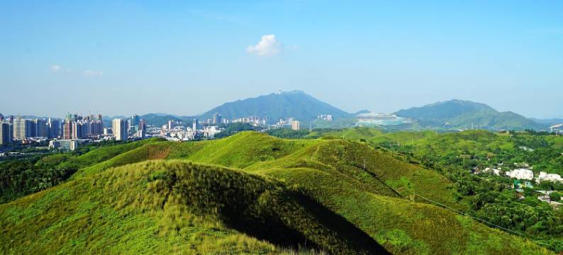 骏怡连锁酒店(深圳中英街店)图片