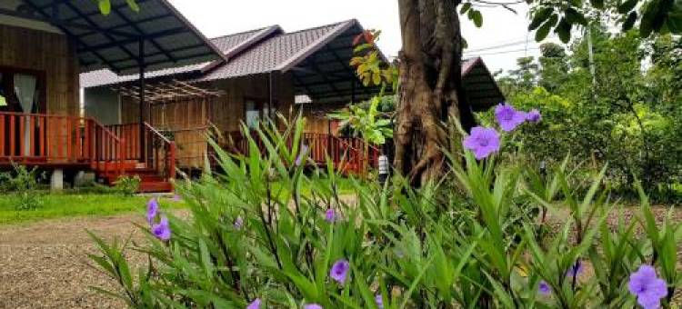 清道重新酒店(Chiang Dao Reset)图片
