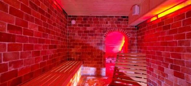 阿瑞子特酒店(Hotel Orizont Cozia)图片