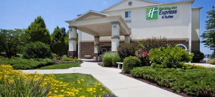 智选假日套房酒店阿伦敦西(Holiday Inn Express & Suites Allentown West)图片