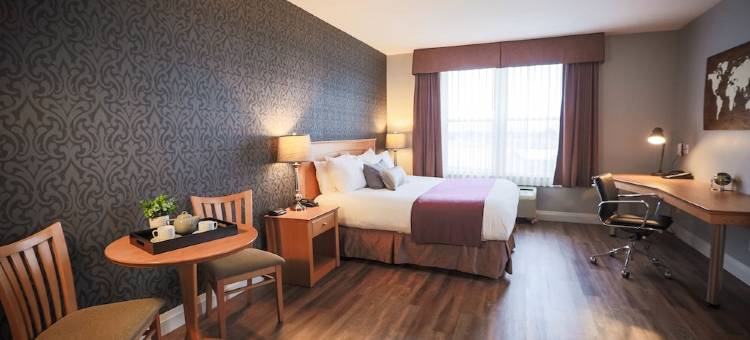 剑桥会议中心酒店(Cambridge Hotel and Conference Centre)图片
