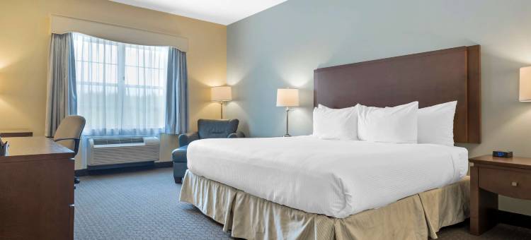 利物浦贝斯特韦斯特优质酒店及会议中心(Best Western Plus Liverpool Hotel  Conference Centre)图片