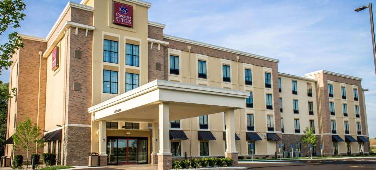 哈特维尔北坎顿舒适套房酒店(Comfort Suites Hartville-North Canton)图片