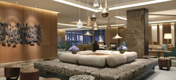 新德里利拉格调会议酒店(The Leela Ambience Convention Hotel Delhi)图片