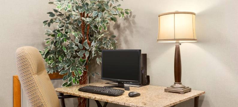 欧文桑德Travelodge by Wyndham酒店(Travelodge by Wyndham Owen Sound)图片