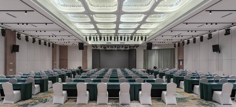 银川智选假日酒店(阅海湾中央商务区览山公园店)图片