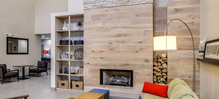 纳什维尔富兰克林冷泉舒适套房酒店(Comfort Inn & Suites Nashville Franklin Cool Springs)图片