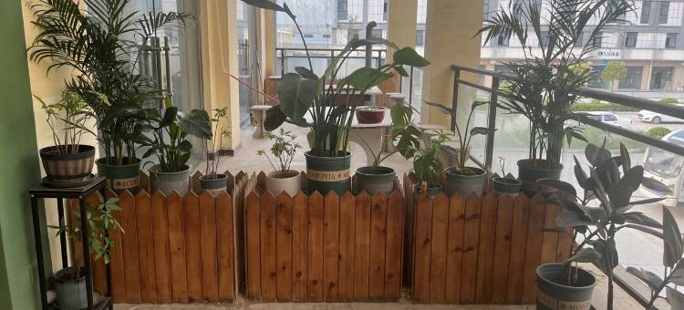 听夏WLL公寓(方域东路分店)图片