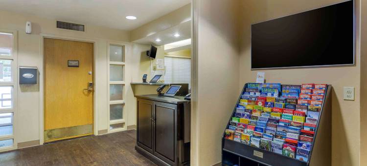 美国延时居住酒店- 波士顿 - 沃本(Extended Stay America Suites - Boston - Woburn)图片
