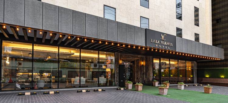 拉拉维安科酒店(Lala Vianco Business Hotel)图片