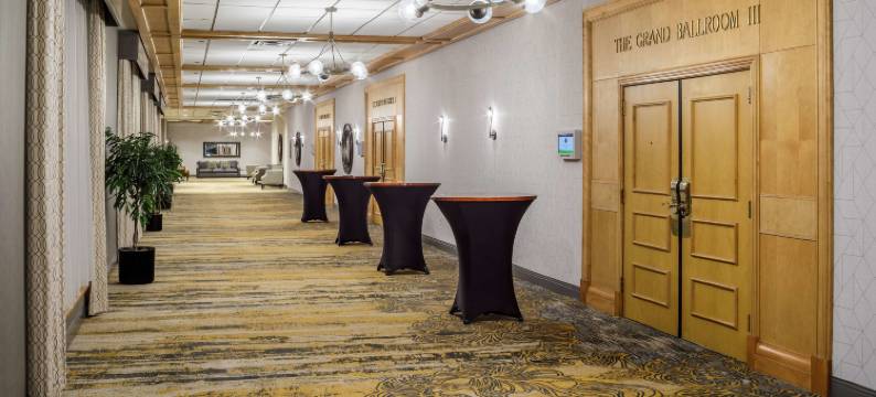 丹佛希尔顿逸林酒店(DoubleTree by Hilton Hotel Denver)图片