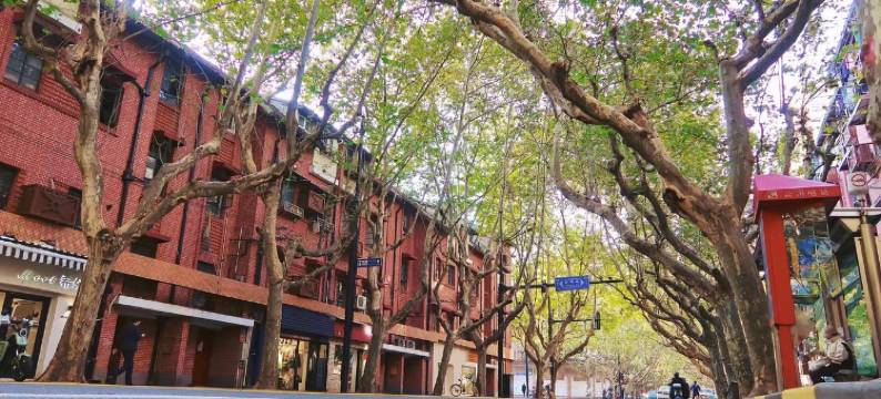 书的房民宿(新华路分店)图片