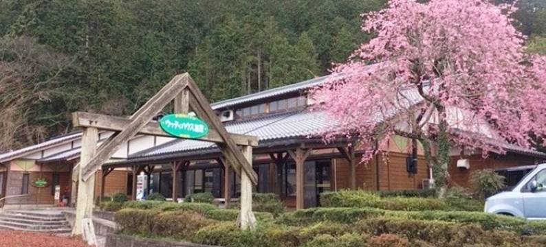 Woody House Kamo图片