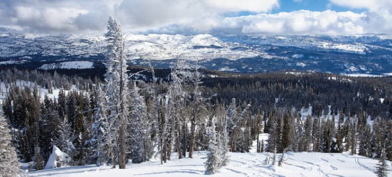 世标度假屋-麦卡尔(WorldMark McCall)图片