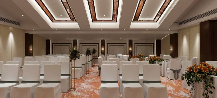 果阿坎多林丽柏酒店(Park Inn by Radisson Goa Candolim)图片