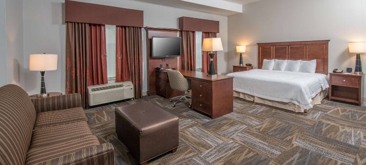 希尔顿欢朋套房酒店-德克萨斯州塞尔玛圣安东尼奥兰多夫空军基地(Hampton Inn & Suites Selma-San Antonio-Randolph AFB Texas)图片