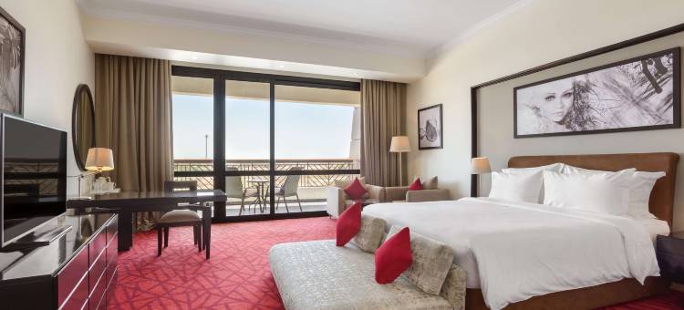 丽笙蓝标酒店及会议中心, 亚历山大(Radisson Blu Hotel & Convention Center, Alexandria)图片