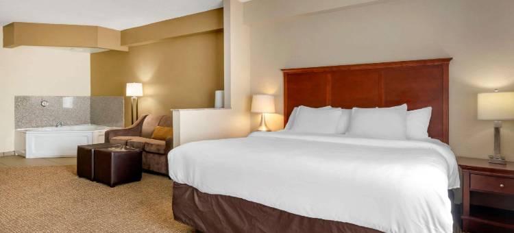北奥卡拉舒适套房酒店(Comfort Suites Ocala North)图片