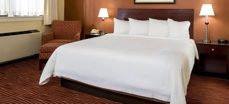 波士顿酒店(The Boston Hotel)图片