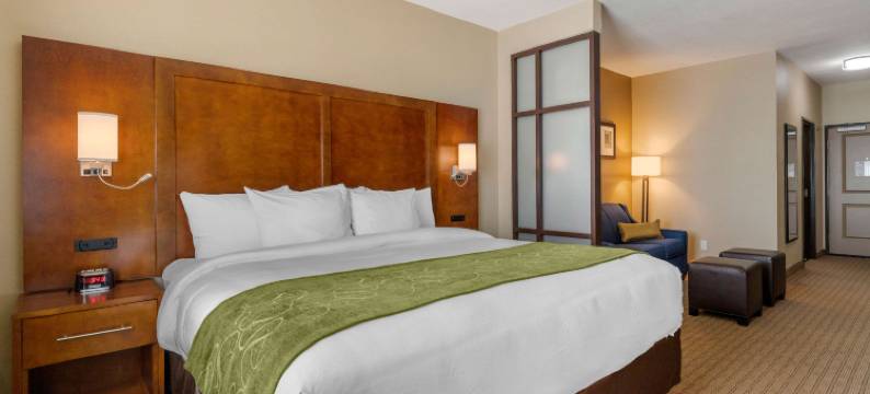 圣安东尼奥机场北部舒适套房(Comfort Suites San Antonio Airport North)图片