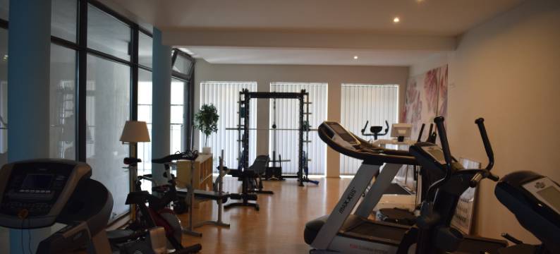 席尔奇阿肯森特酒店(Akzent Hotel Goldner Hirsch)图片