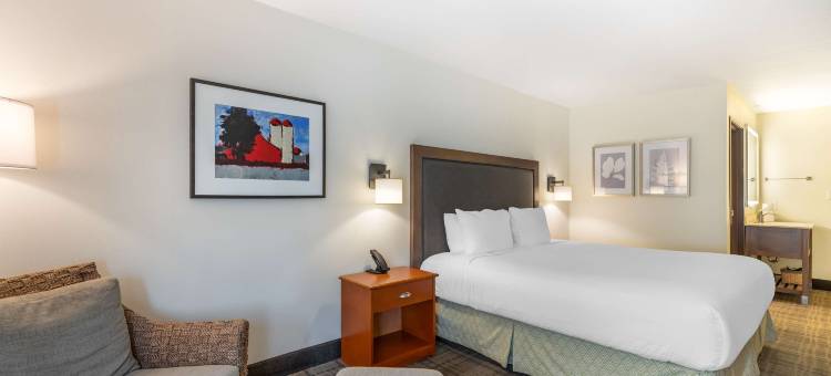 大学公园贝斯特韦斯特优质套房酒店(Best Western Plus University Park Inn  Suites)图片