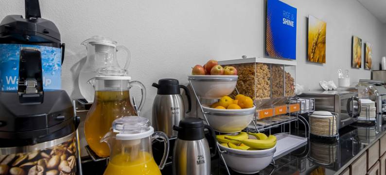 廷利帕尔克圆形剧场舒适套房酒店(Comfort Inn & Suites Near Tinley Park Amphitheater)图片