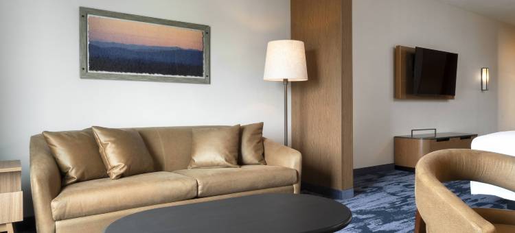 奥法伦，伊利诺伊万枫酒店及套房(Fairfield Inn & Suites O’Fallon, IL)图片