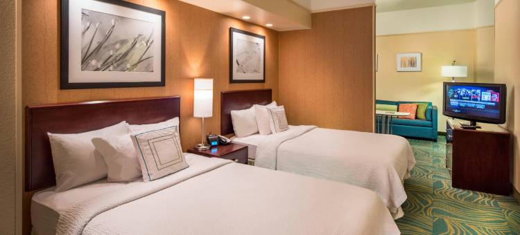 拉雷多万豪SpringHill酒店(SpringHill Suites Laredo)图片