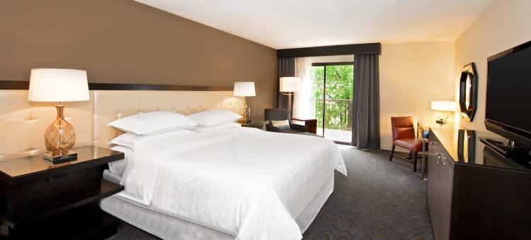 明尼阿波利斯西喜来登酒店(Sheraton Minneapolis West Hotel)图片