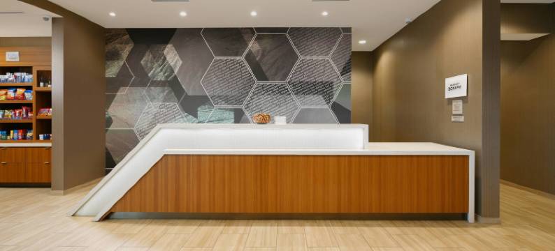 达拉斯DFW机场南中心港万豪SpringHill Suites酒店(SpringHill Suites Dallas DFW Airport South/CentrePort)图片