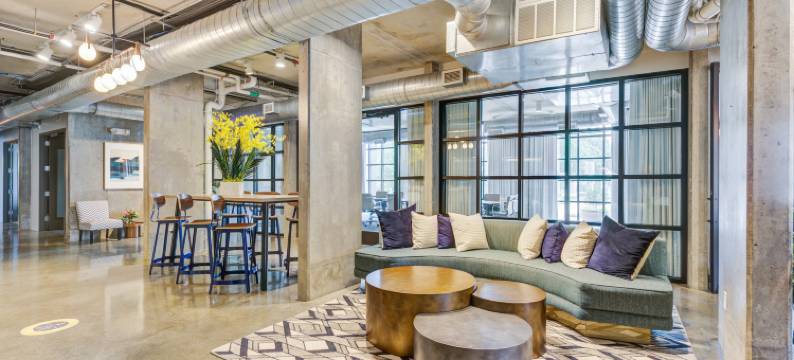 NYLO达拉斯普莱诺酒店，希尔顿启缤精选(Nylo Dallas Plano Hotel, Tapestry Collection by Hilton)图片