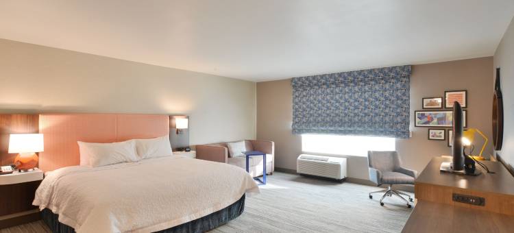 梅诺莫尼欢朋套房酒店(Hampton Inn & Suites Menomonie)图片