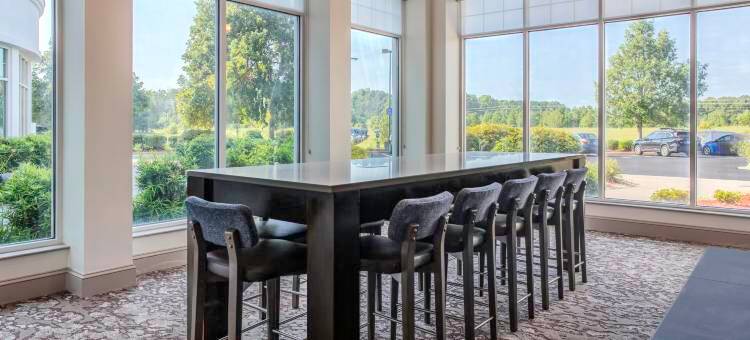 罗阿诺克拉皮兹希尔顿花园酒店(Hilton Garden Inn Roanoke Rapids)图片