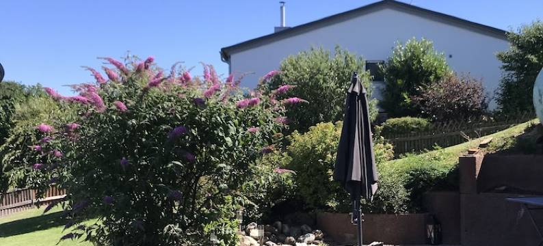 Vacation apartment near the lake图片