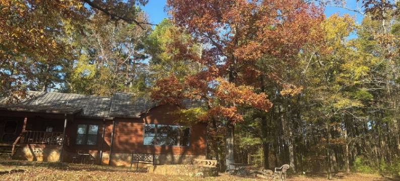 Country Get Away Cabin In The East Texas Piney Woods图片