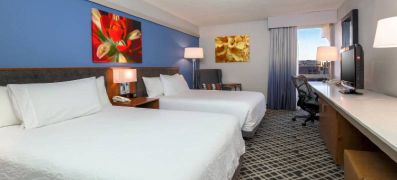 市场中心希尔顿花园酒店(Hilton Garden Inn Dallas/Market Center)图片