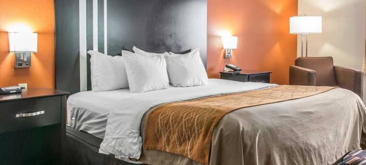 莫米 - 佩里斯堡区舒适酒店(Comfort Inn Maumee - Perrysburg Area)图片