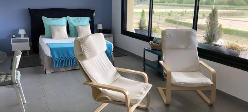 Gîte - 大型现代工作室(Gîte - Grand Studio Contemporain)图片