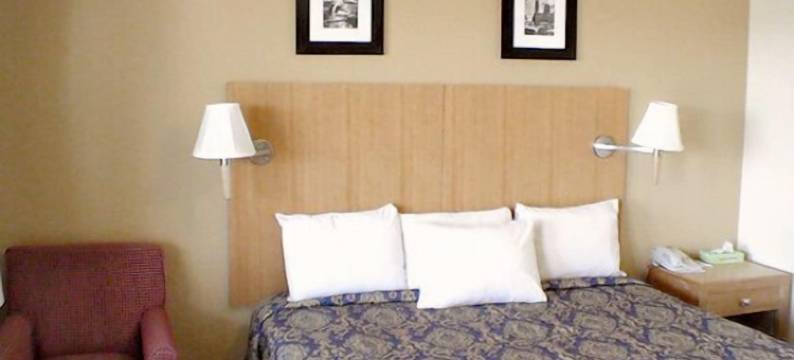 星尘汽车旅馆(Stardust Motel)图片