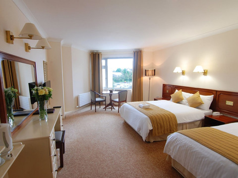 多尼戈尔中心酒店