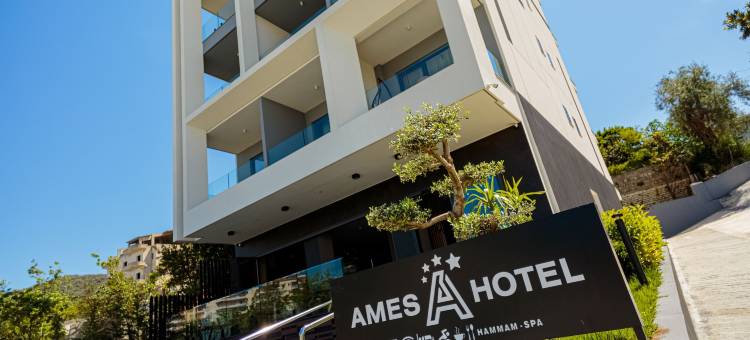 艾梅斯酒店和SPA(Ames Hotel & Spa)图片