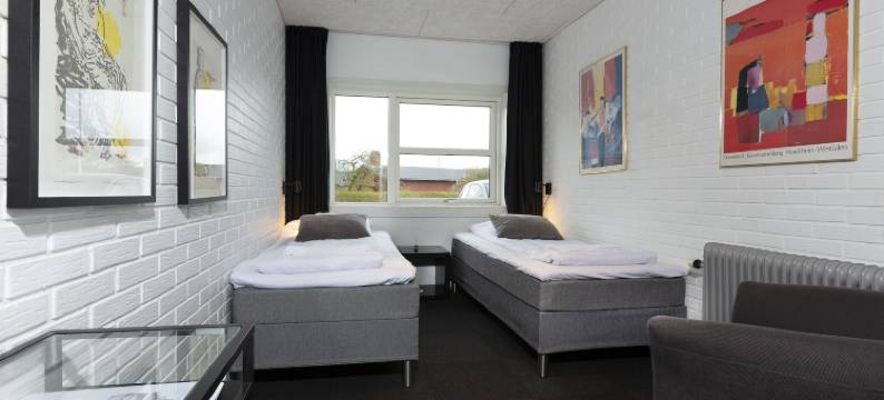 海宁海豚酒店(Dolphin Hotel Herning)图片